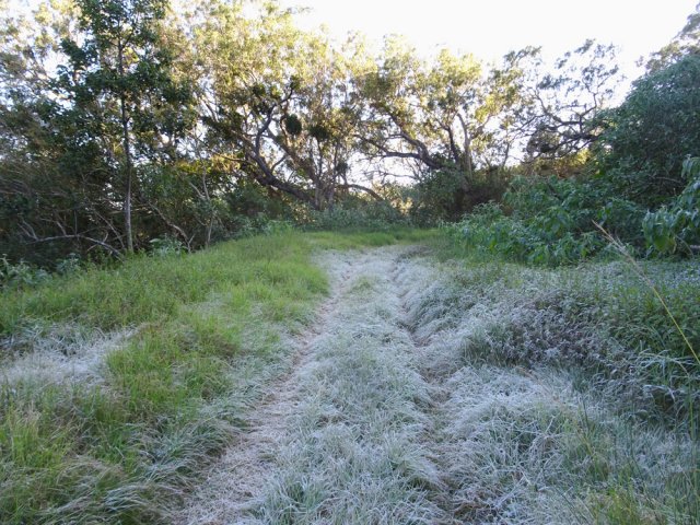 Le givre, surtout à l'ombre, peut être présent jusqu'à midi