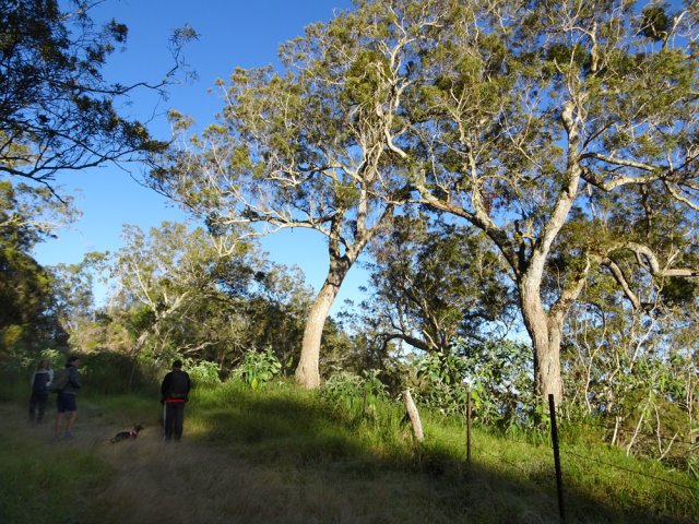 Les clôtures demeurent mais les troupeaux ont disparu