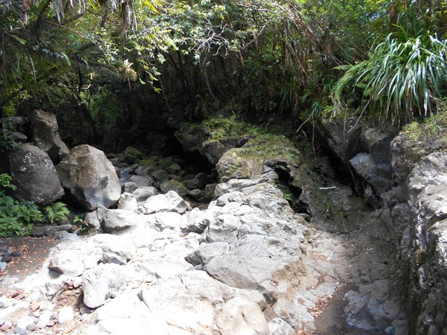 La photo ne rend pas le caractère sauvage du lieu