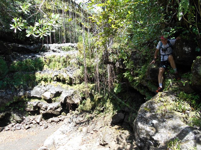 Bien tenir la branche pour éviter la chute de 4 ou 5 mètres