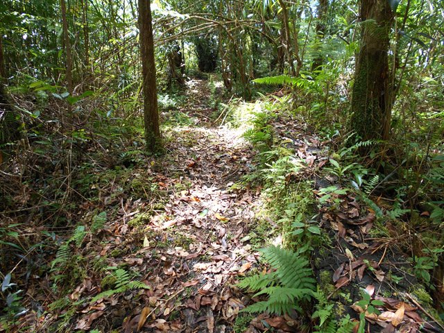 Retour par le sentier d'Interprétation de Bois Blanc