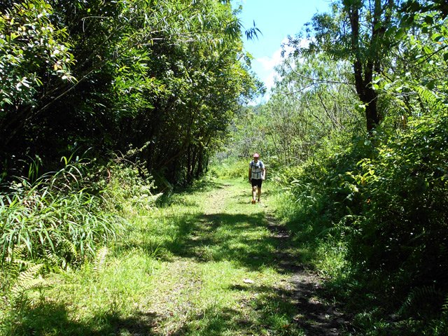 Après le béton, de l'herbe rase sur une piste large et facile