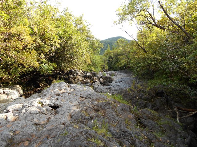 La Ravine de Bois Blanc depuis la piste qui la traverse. On part sur la droite