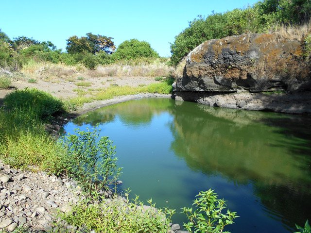 L'eau croupira ainsi jusqu'à la prochaine pluie