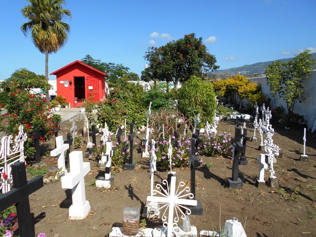 Des dizaines de tombes anonymes avec des croix sans date