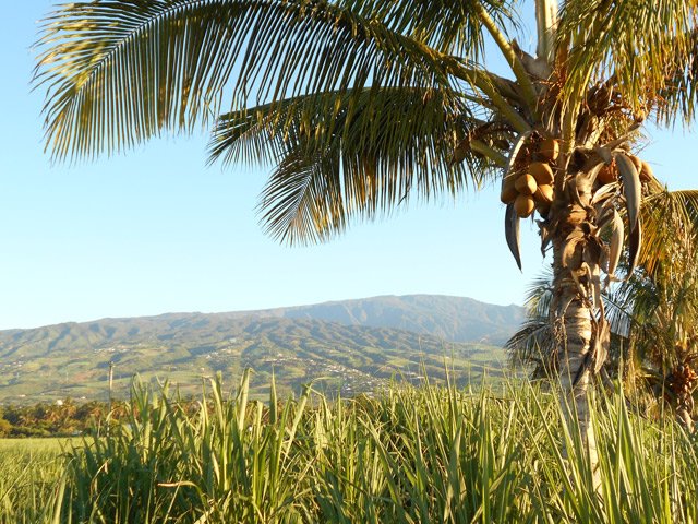 Larges panoramas vers les Makes et les Bénares