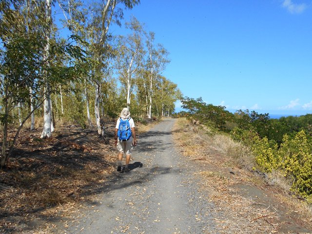 Elle se poursuit sur une large piste dans les eucalyptus