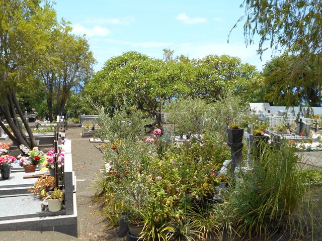 Le cimetière de Bois de Nèfles, au retour