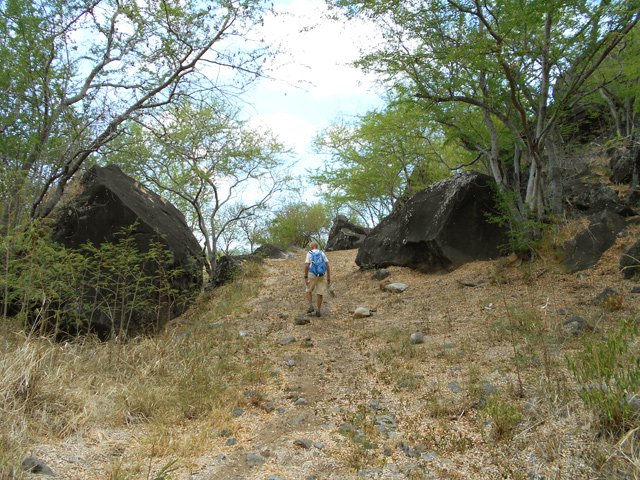 Le sentier pour repartir vers la route