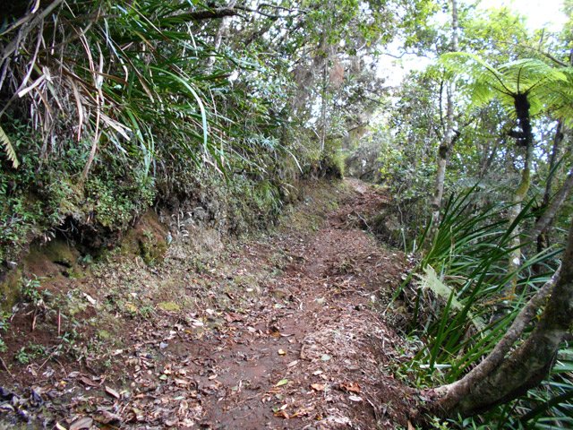 Montée en lacets du Sentier Bœuf dans les bois de couleurs