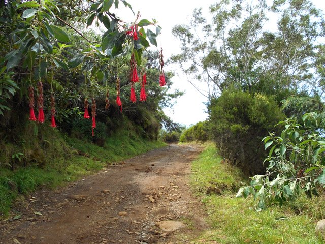 Une idée de la piste Jean Dubard dans une de ses rares portions plates