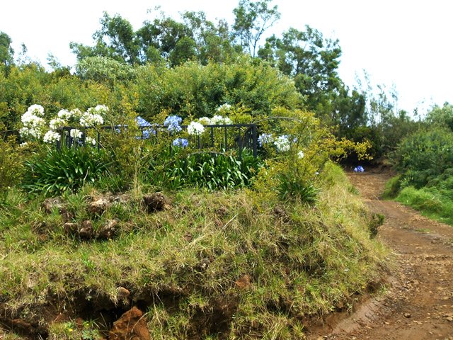Peu après la chapelle, une tombe très fleurie domine la piste