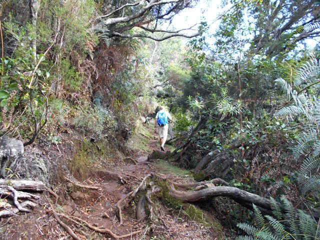 Parfois étroit, il peut aussi s'avérer glissant après les pluies