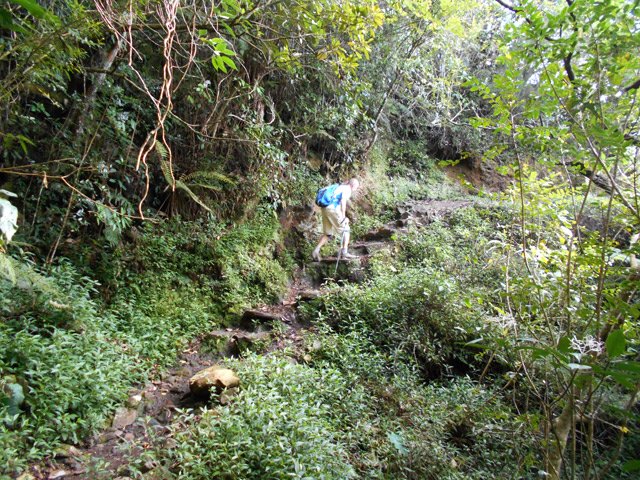 Les hautes marches sont peu fréquentes sur ce circuit