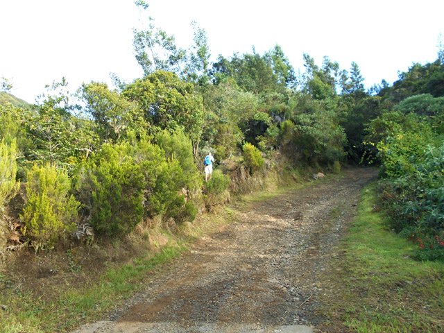 Le sentier longe la piste qui mène au sentier Mal au Ventre
