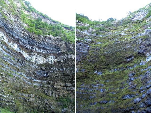 Cette falaise est descendue en rappel par les canyoneurs