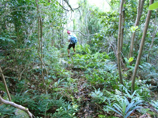 Nouvelle section de sentier en très bon état