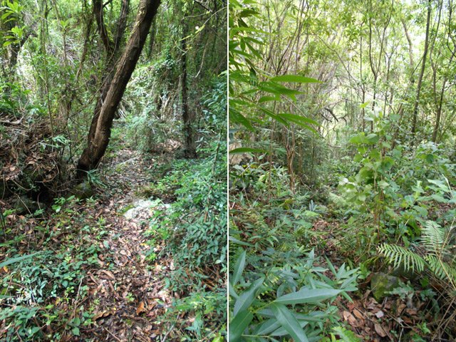 Une autre assez propre, l'autre plus encombrée mais sans difficulté