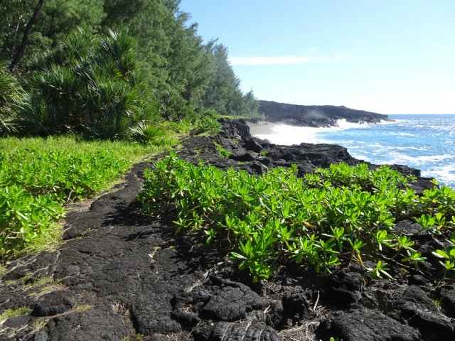 L'accès à la plage est assez facile sur le haut de la petite falaise