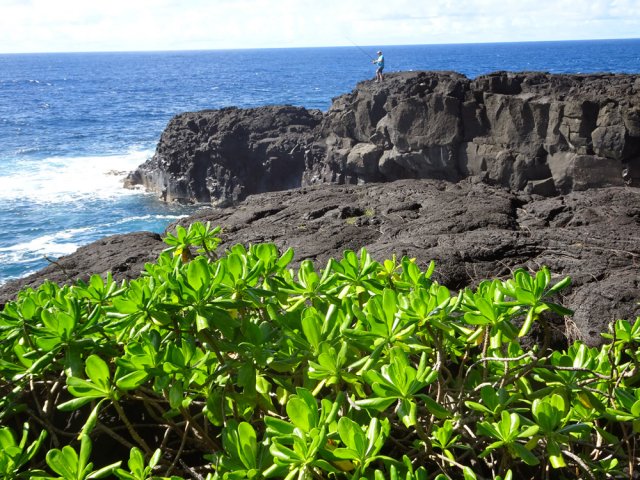 Les pêcheurs aiment se positionner sur le Quai de Sel