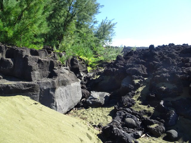 Débuter la montée en passant au plus près des arbres