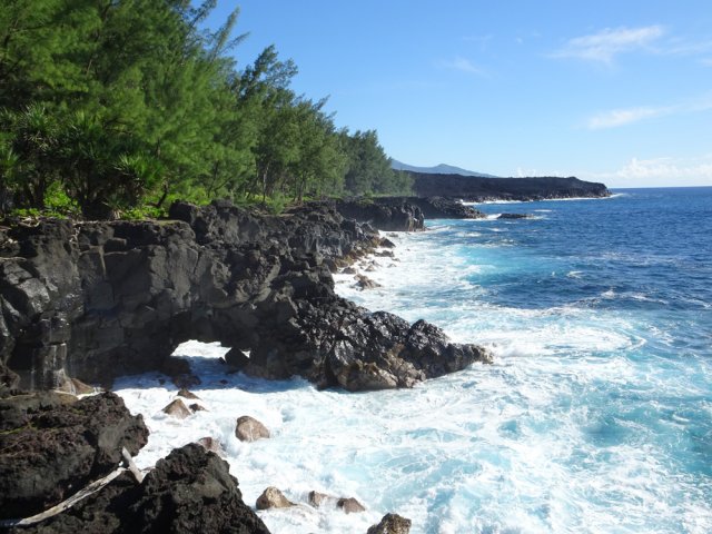 Vue sur la coulée de 2007 et Bois Blanc