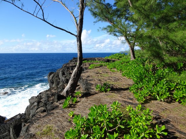 La balade est assez facile sur un terrain le plus souvent plat