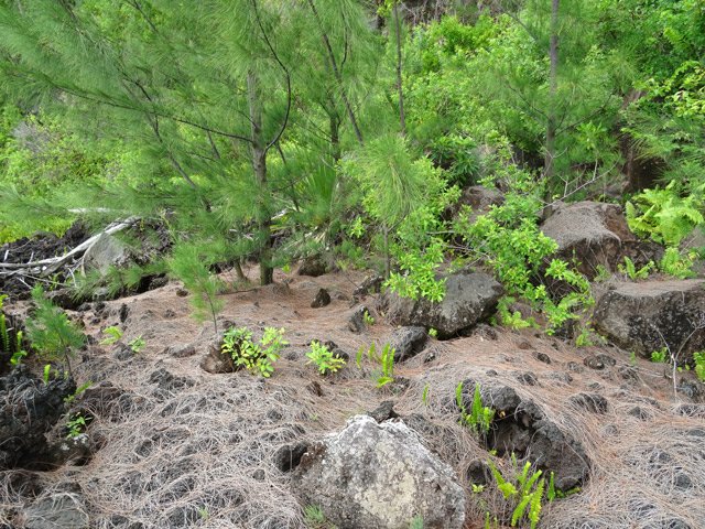 Privilégier, quand c'est possible, le bas de la falaise