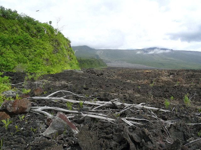 Le paysage, à mi-pente, toujours au plus près de la falaise