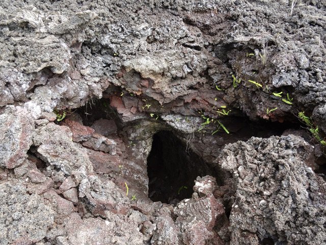 Cette cavité, début d'un tunnel a déjà été visitée par les spéléologues