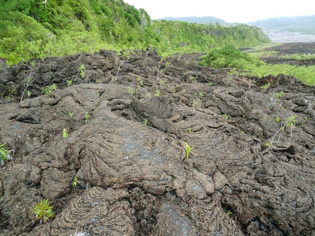 Ces coulées en peau d’éléphant sont rarement dangereuses