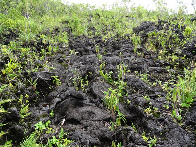 Terminer la montée par le fond de la Ravine Criais