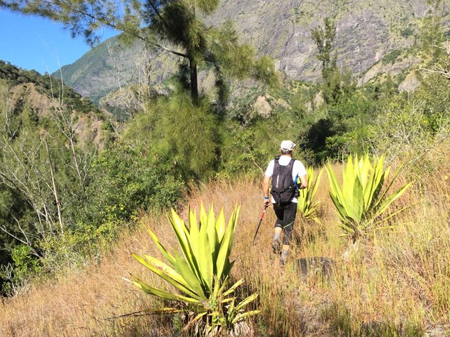 La savane sur le plateau se poursuit jusqu'au début de la descente vers Trois Bras