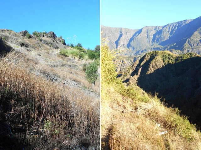 La pente est immédiate pour rejoindre la Ravine de la Roche Pendue