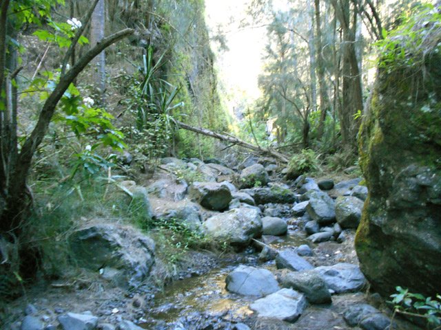 Traversée de la ravine qui est un petit ruisseau au fond caillouteux