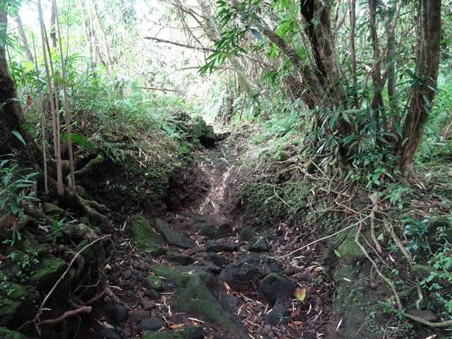 Les petits bassins se contournent par la rive s'il y a de l'eau