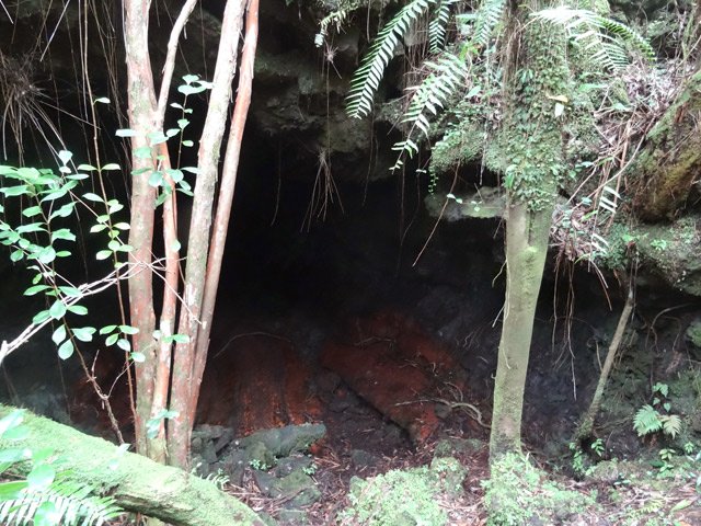 L'arrivée à l'entrée du tunnel à peine masqué par quelques arbres
