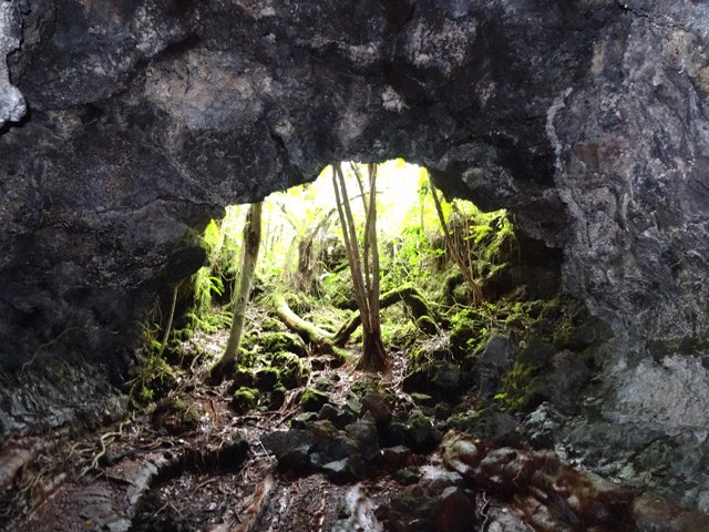 La lumière pénètre peu dans le tunnel de lave