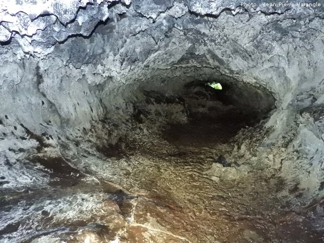 Un peu de lumière naturelle indique un puits dans la forêt