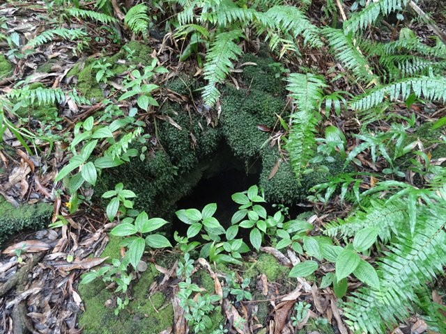 Un puits en bordure de sentier dans lequel il vaut mieux ne pas glisser