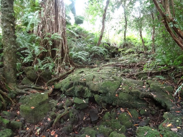 Attention à la glissade sur les pierres moussues