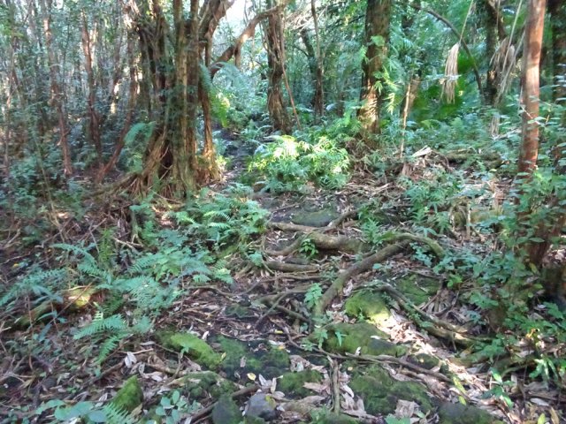 Se méfier des traces partant vers le bois. Rester sur le parcours le plus visible