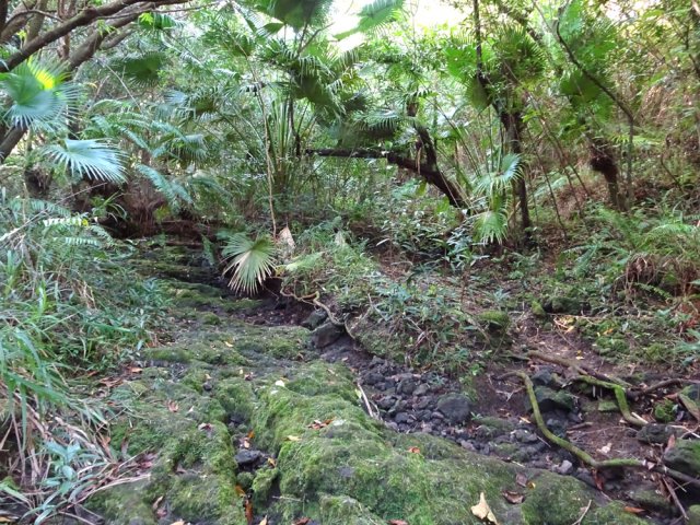 On peut poursuivre par la ravine ou le sentier qui la longe
