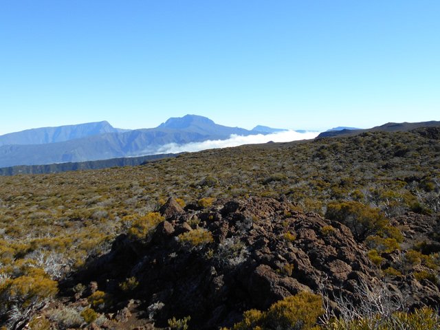 Le Piton des Neiges, au loin, domine toute la zone