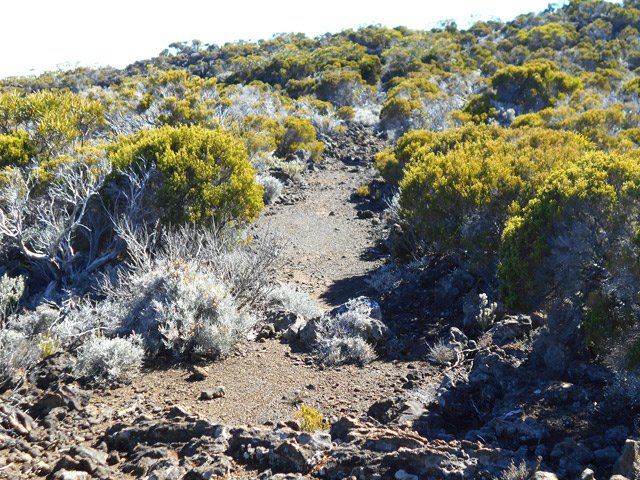 Le sentier reste visible et en très bon état