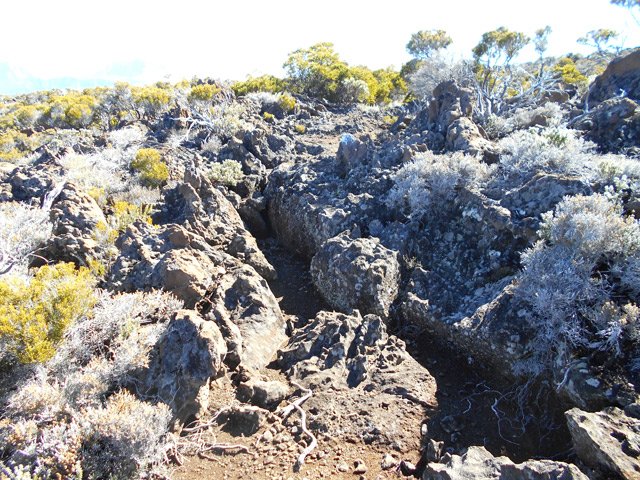 Quelques passages rocheux avec hautes marches