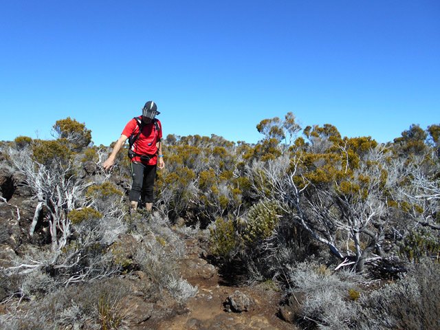 Le vrai hors sentier ne pose aucune difficulté