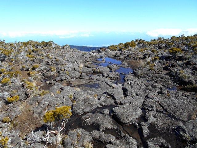 Quelques flaques de la Ravine Plate avant de filer vers le Piton Rouge des Remparts