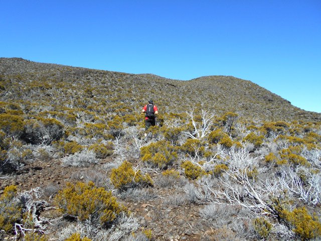 Début de la montée au Puy du Pas des Sables en face nord-ouest