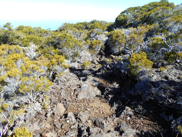 L'ancien sentier qui redescend vers Grand Coude